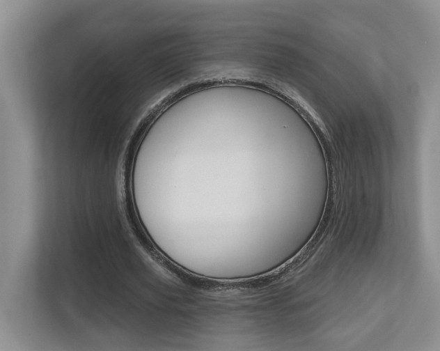 X0000112500629200908171012