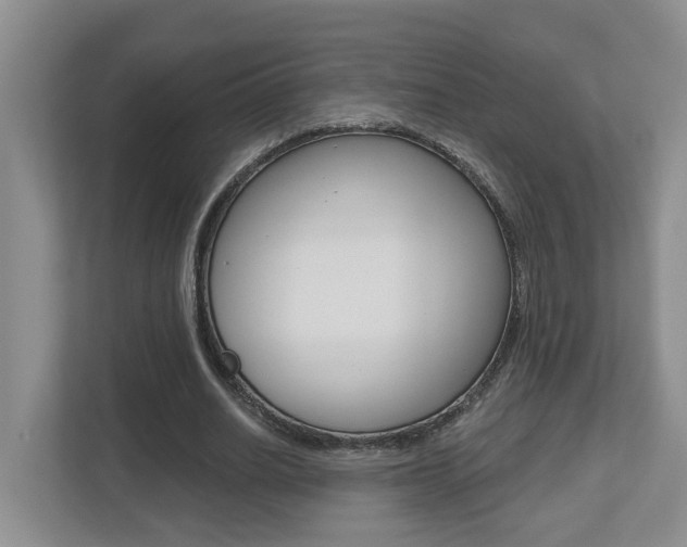 X0000112500630200908171012