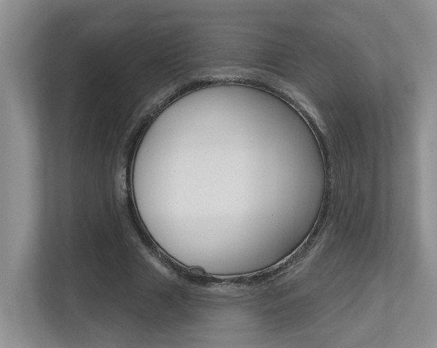 X0000112500633200908171012