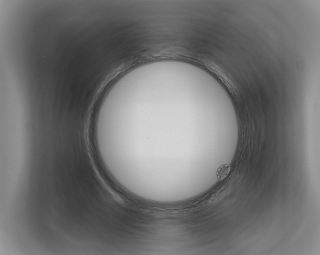 X0000112500634200908171012