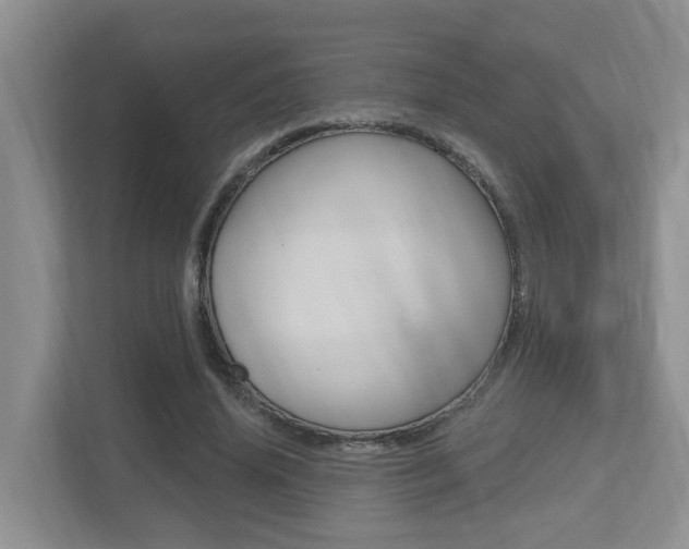 X0000112500636200908171012