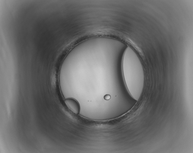 X0000112500637200908171012