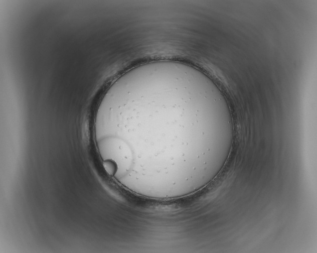 X0000112500638200908171012