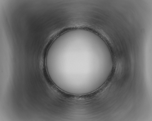 X0000112500640200908171012