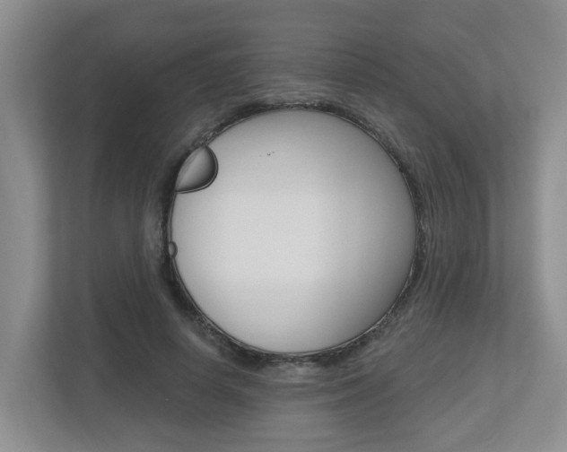 X0000112500642200908171012