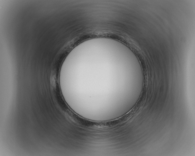 X0000112500644200908171012