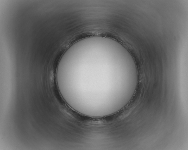 X0000112500646200908171012