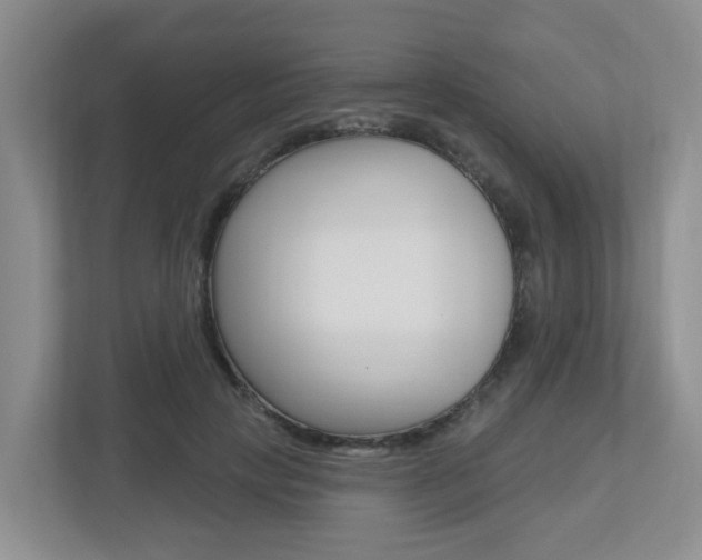 X0000112500649200908171012