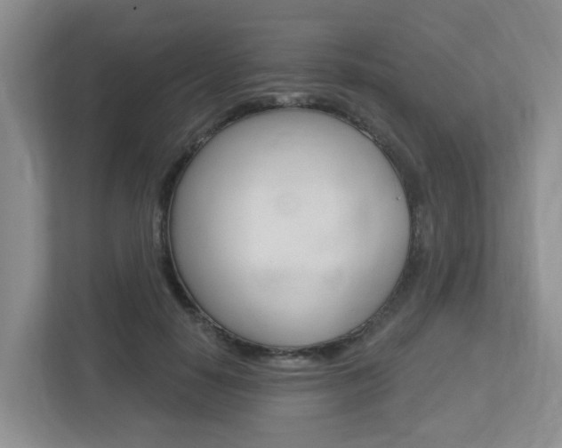 X0000112500650200908171012