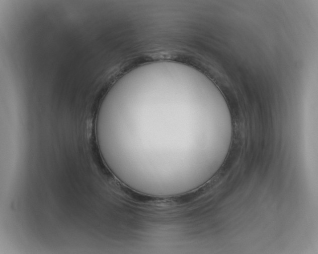 X0000112500652200908171012
