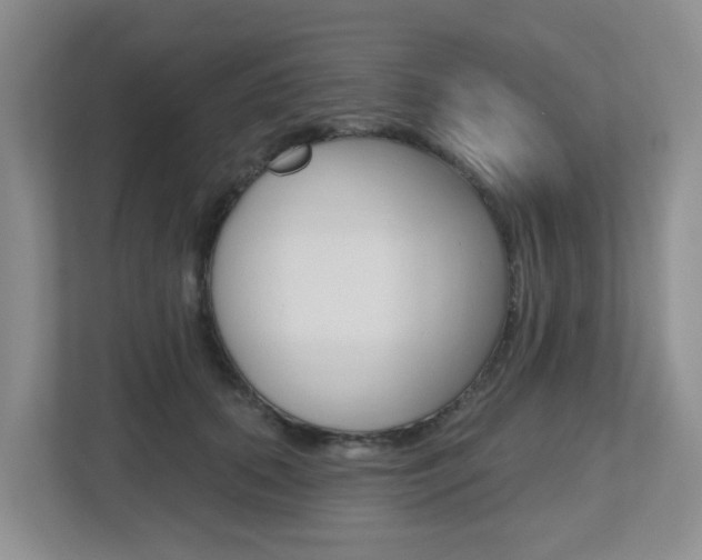 X0000112500655200908171012