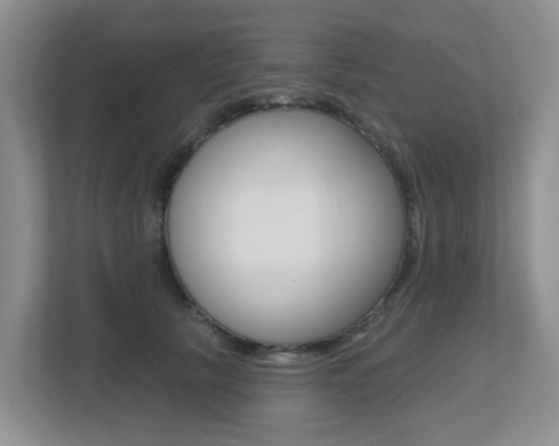 X0000112500657200908171012