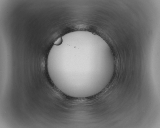 X0000112500668200908171012