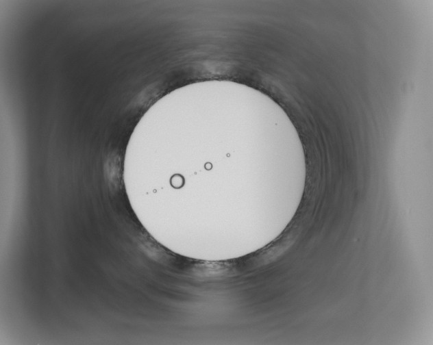 X0000112500672200908171012