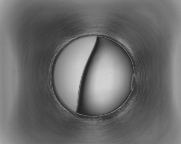 X0000112500673200908171012