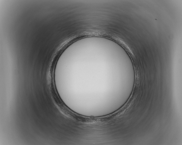 X0000112500674200908171012