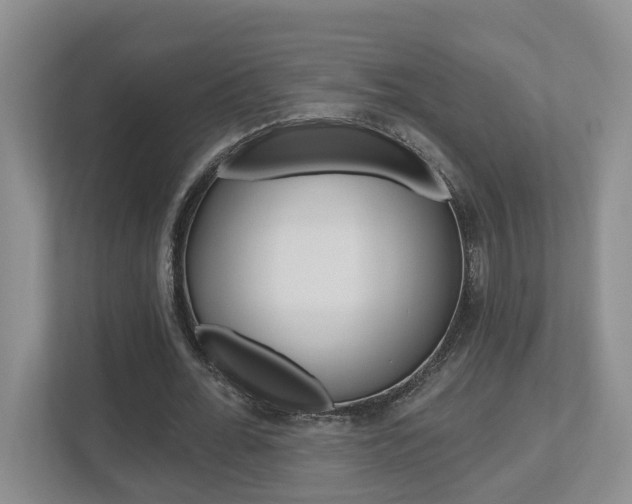 X0000112500676200908171012