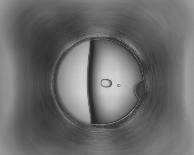 X0000112500677200908171012