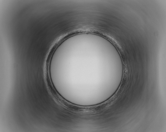 X0000112500678200908171012