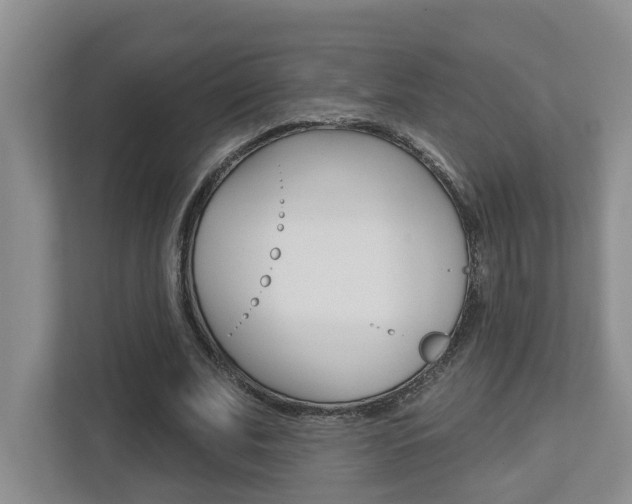 X0000112500679200908171012