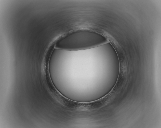 X0000112500680200908171012