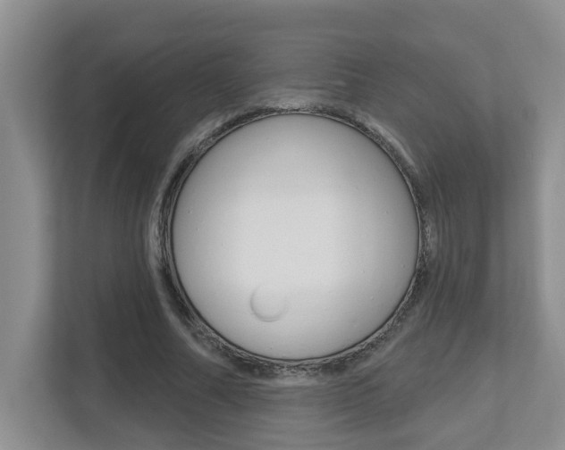X0000112500682200908171012