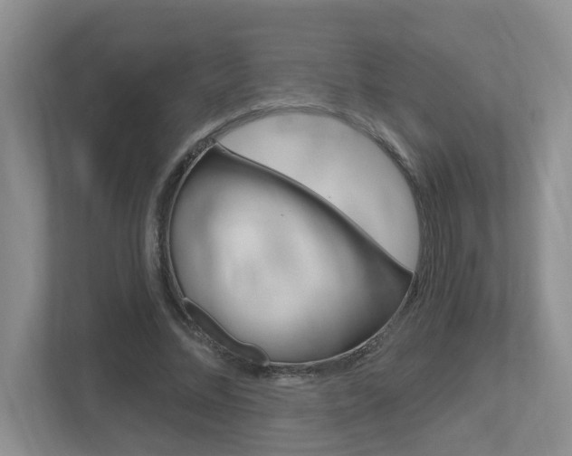 X0000112500684200908171012