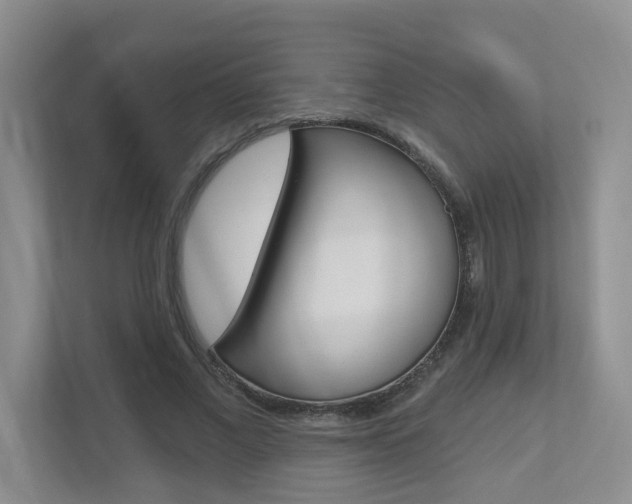 X0000112500685200908171012