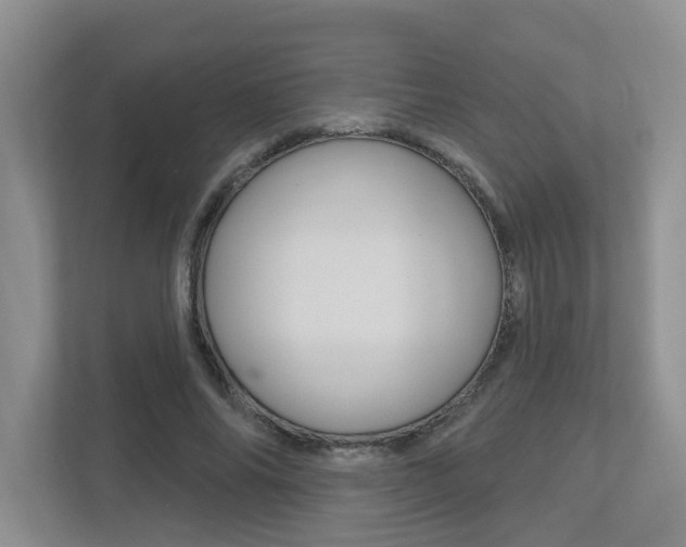 X0000112500686200908171012