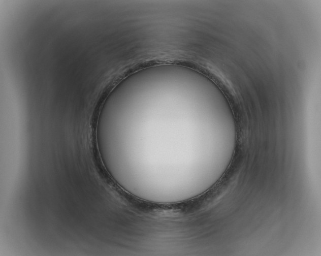 X0000112500689200908171011