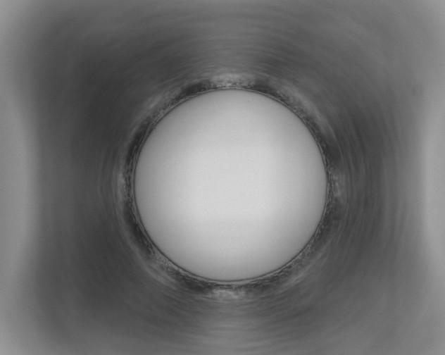 X0000112500690200908171011