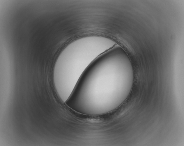 X0000112500693200908171011