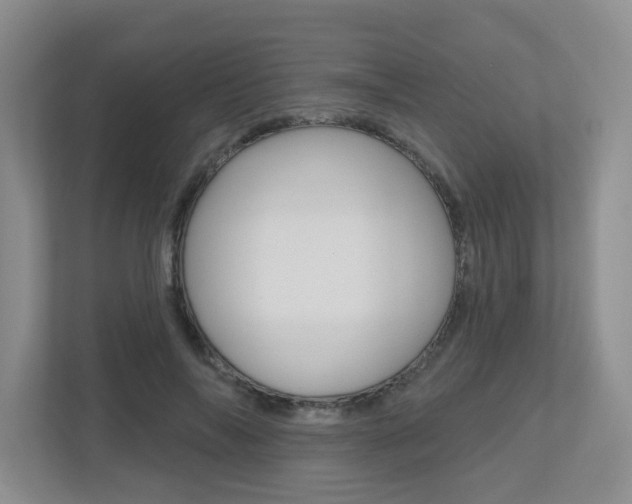 X0000112500694200908171011