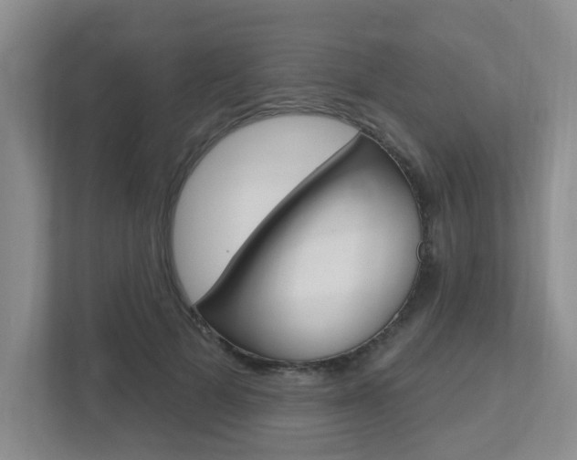 X0000112500697200908171011