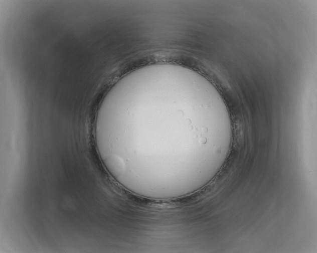 X0000112500698200908171011