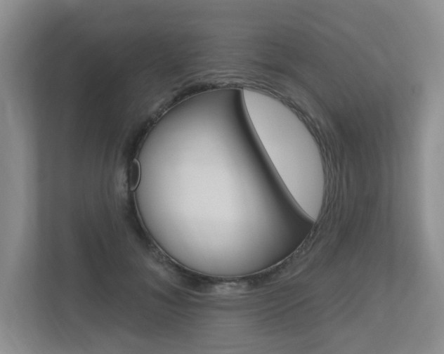 X0000112500700200908171011