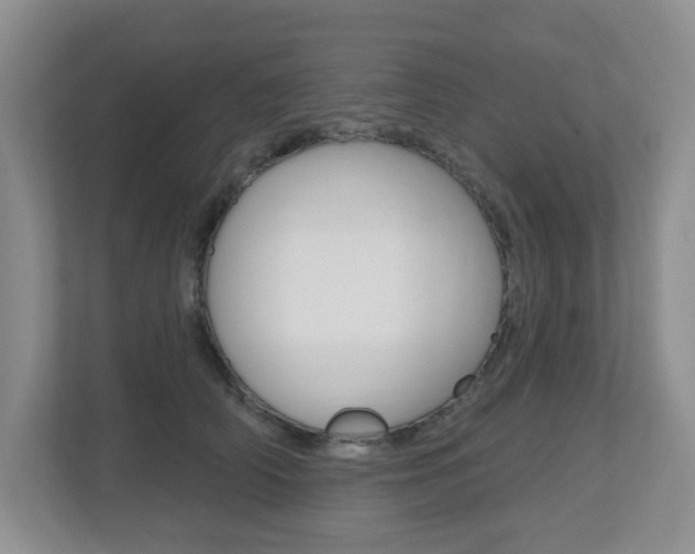 X0000112500706200908171011