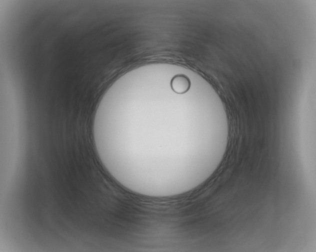 X0000112500708200908171011