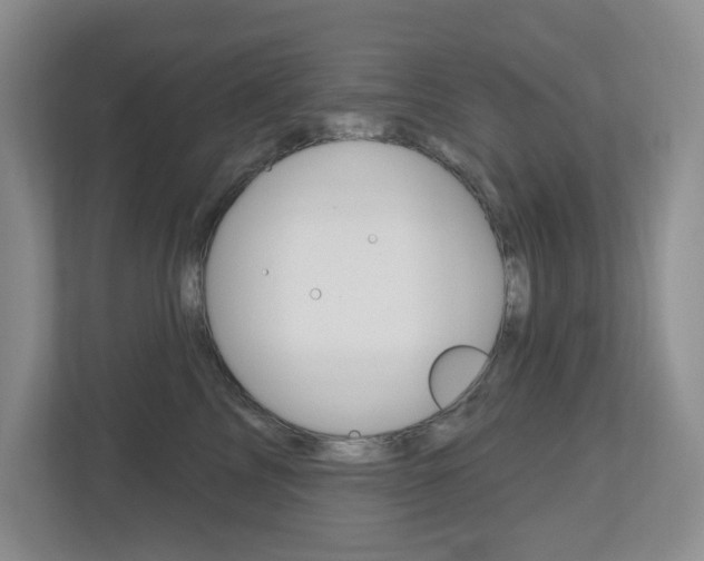 X0000112500713200908171011