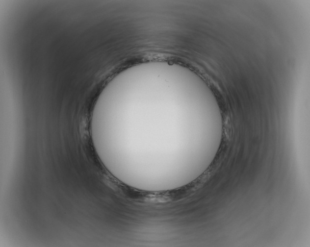 X0000112500714200908171011