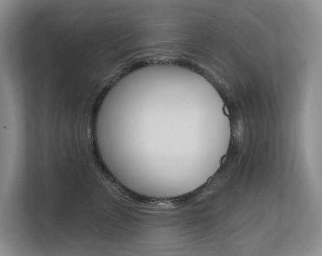 X0000112500715200908171011