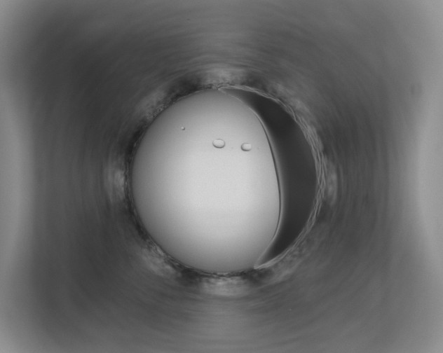 X0000112500716200908171011