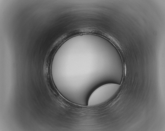 X0000112500723200908171010