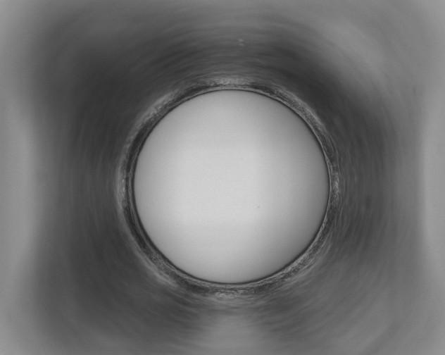 X0000112500725200908171011