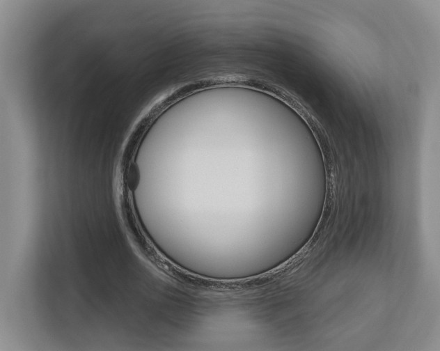 X0000112500726200908171011