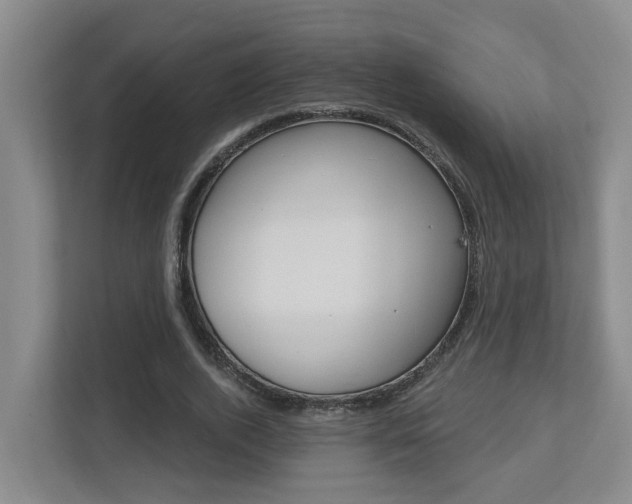X0000112500728200908171011