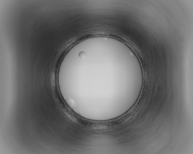 X0000112500729200908171011