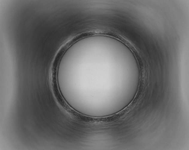 X0000112500730200908171011