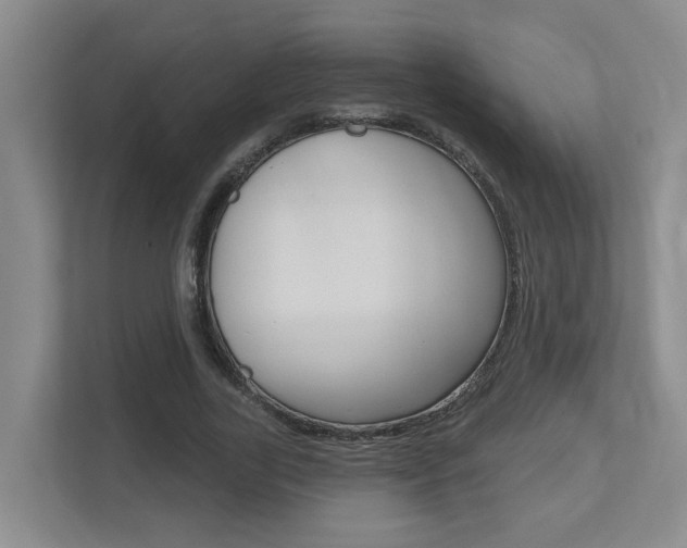 X0000112500731200908171011