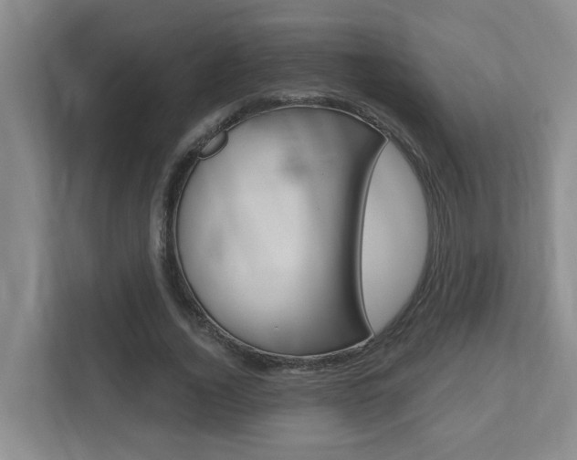 X0000112500732200908171011